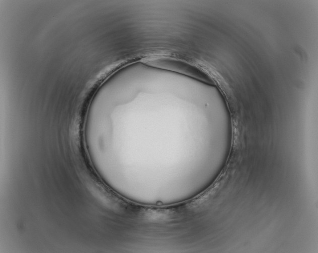 X0000113560346200910161501