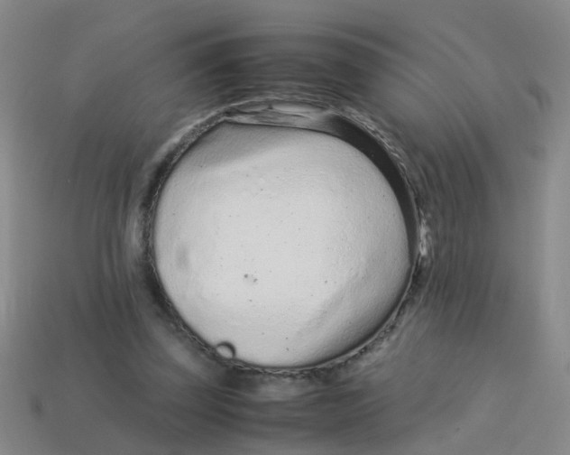 X0000113560347200910161501