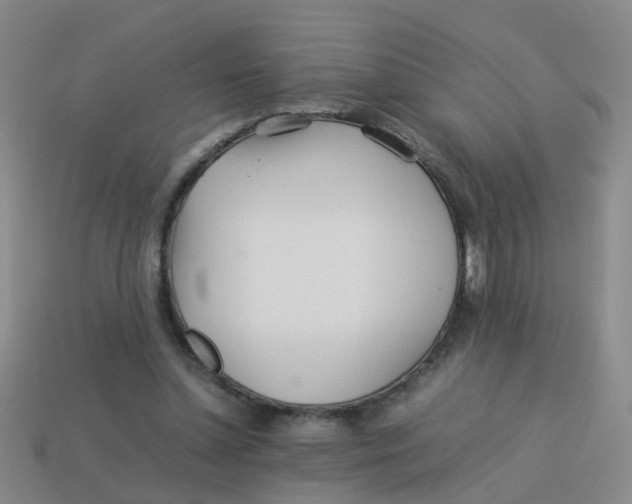 X0000113560348200910161501