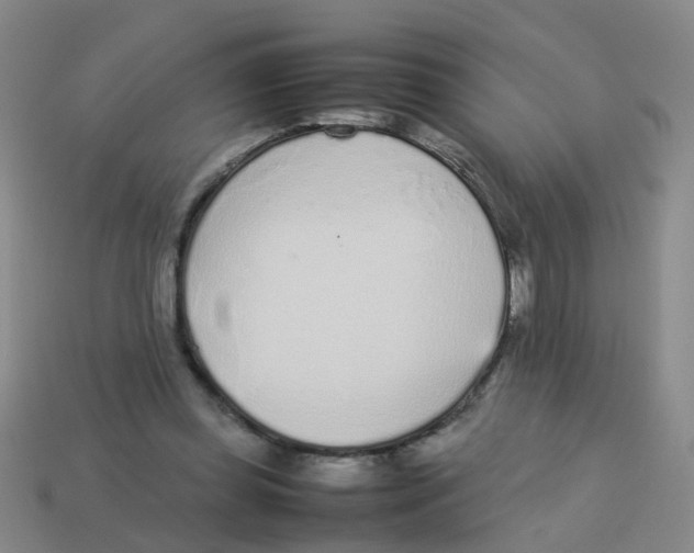 X0000113560349200910161501