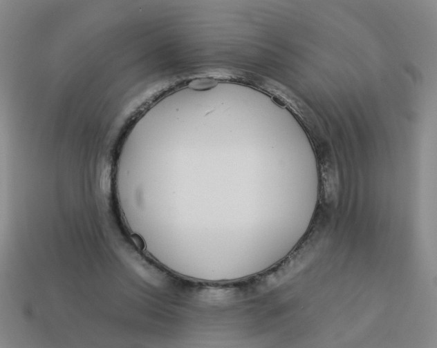 X0000113560350200910161501