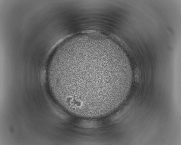 X0000113560351200910161501