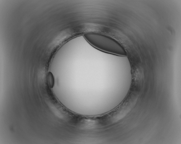X0000113560352200910161501
