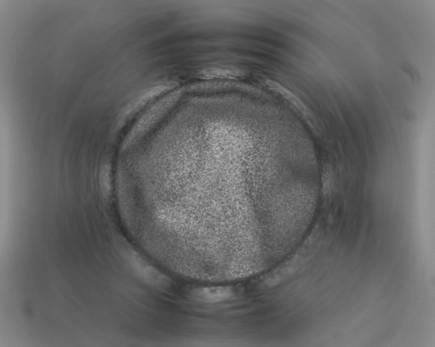 X0000113560353200910161501