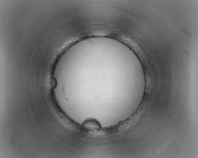 X0000113560354200910161501