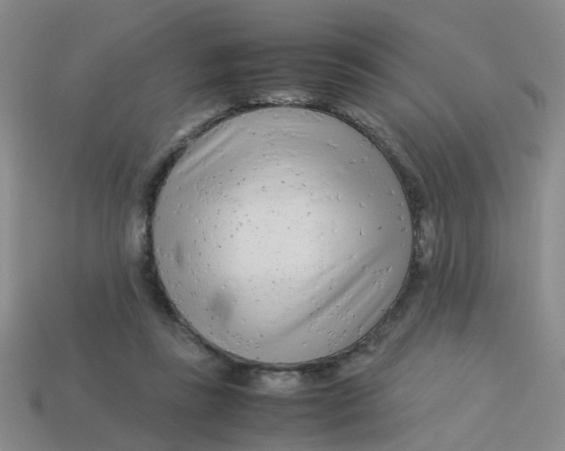 X0000113560355200910161501