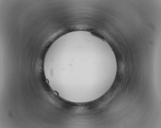 X0000113560356200910161501