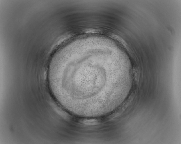 X0000113560357200910161501