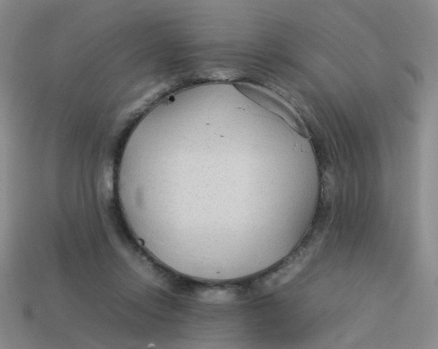 X0000113560358200910161501