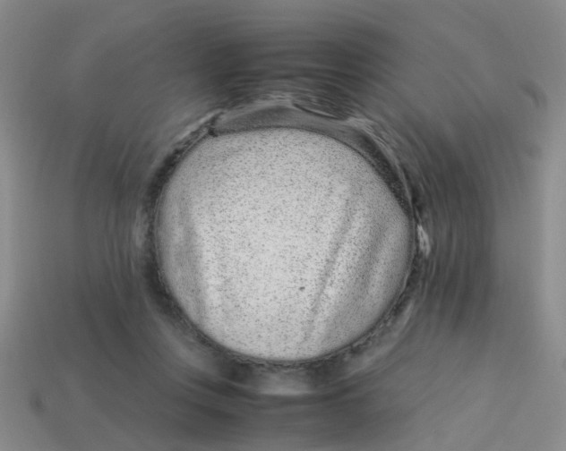 X0000113560359200910161501