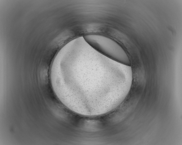 X0000113560360200910161501