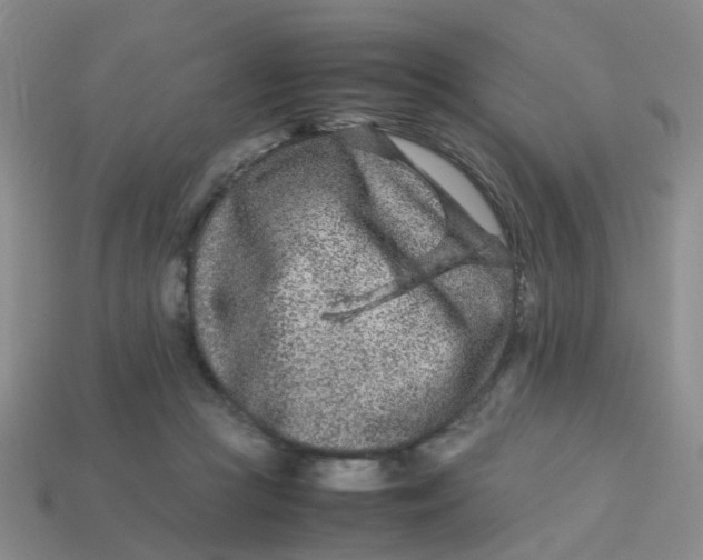X0000113560361200910161501