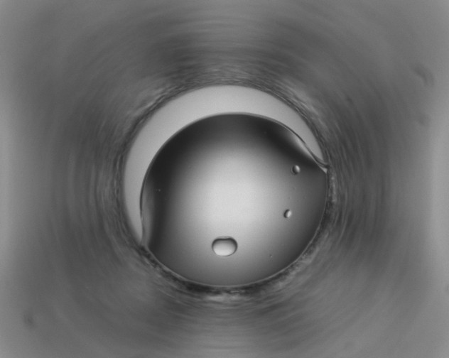X0000113560362200910161501