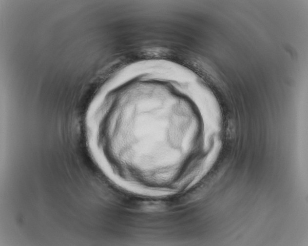 X0000113560363200910161501