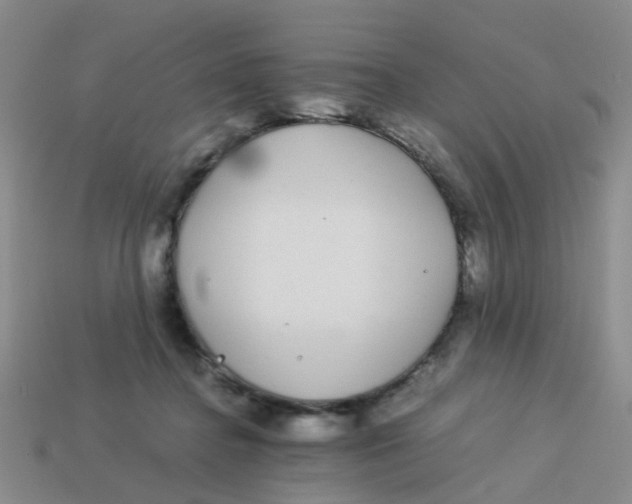 X0000113560364200910161501