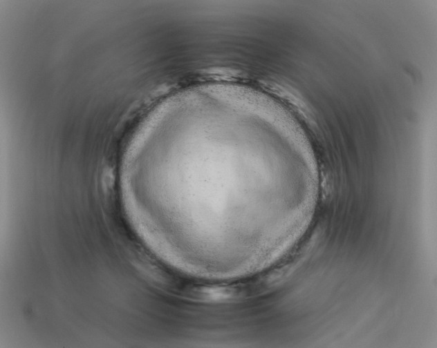 X0000113560365200910161501