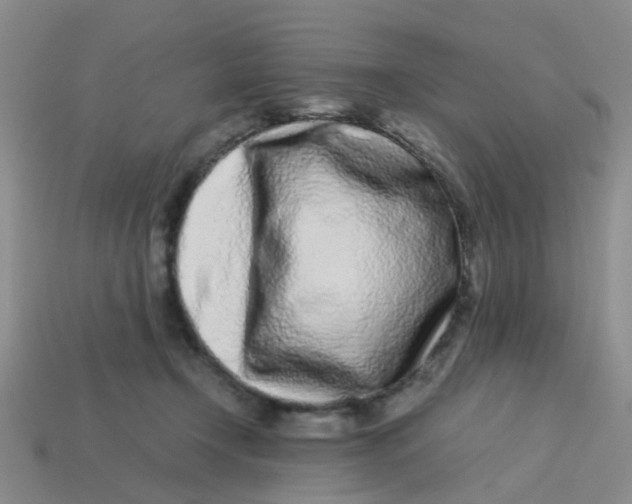 X0000113560366200910161501