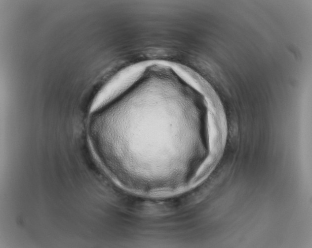 X0000113560367200910161501