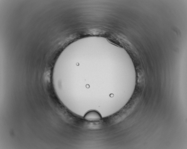 X0000113560368200910161501