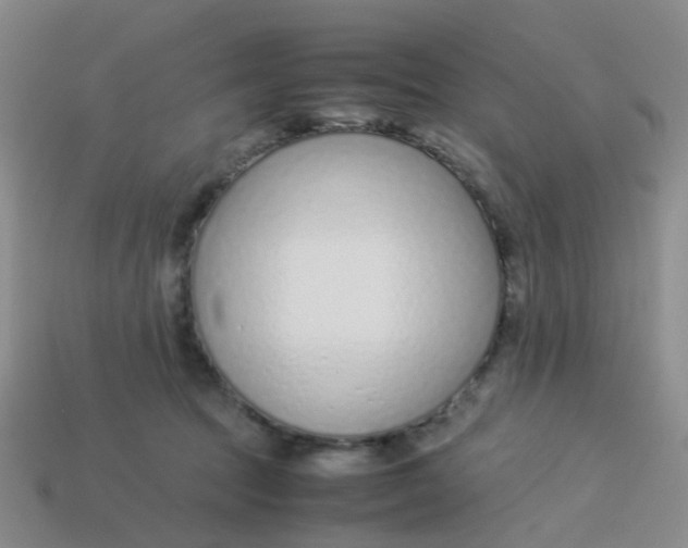 X0000113560369200910161501