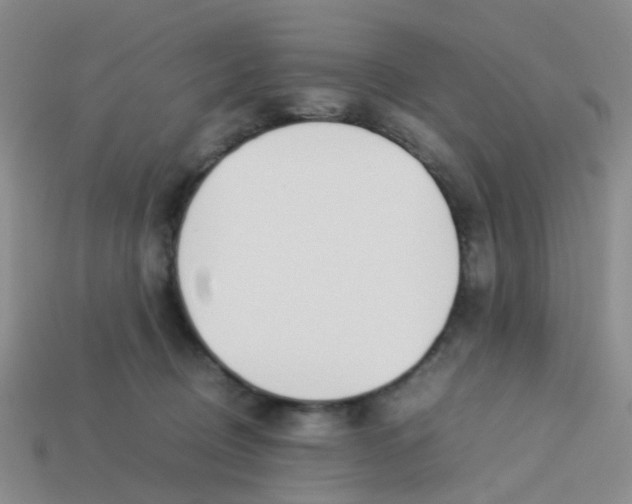 X0000113560370200910161501