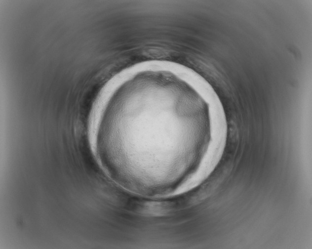 X0000113560371200910161501