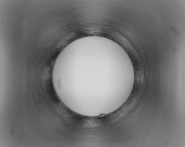 X0000113560372200910161501