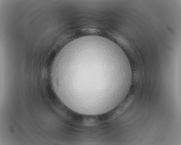 X0000113560373200910161501
