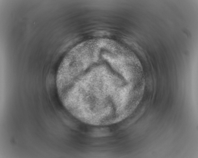 X0000113560375200910161501