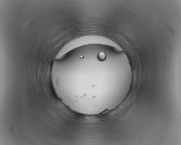 X0000113560376200910161501