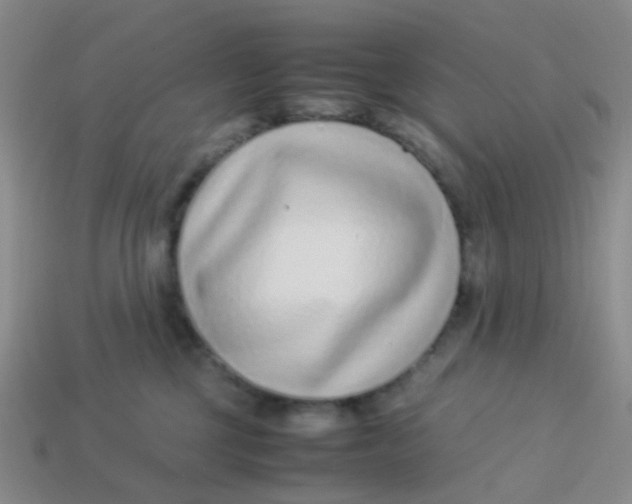X0000113560377200910161501