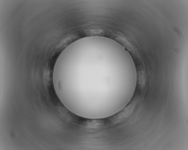 X0000113560378200910161501