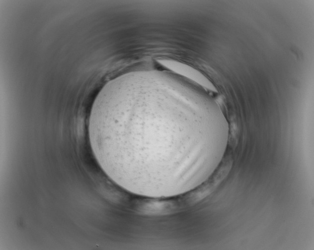 X0000113560379200910161501