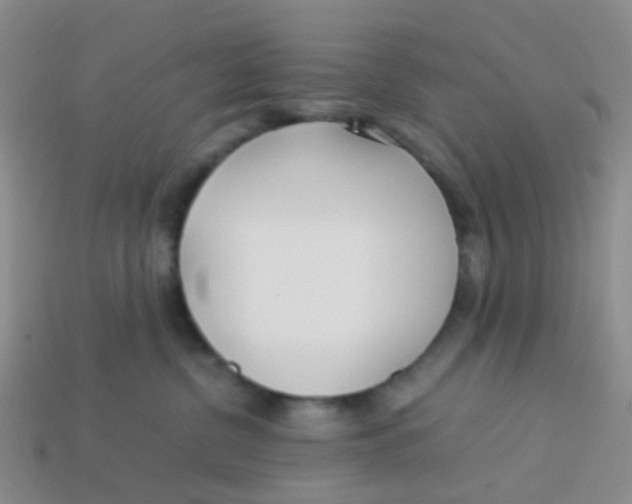 X0000113560380200910161501