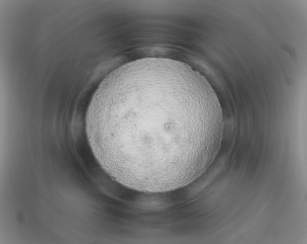 X0000113560381200910161501