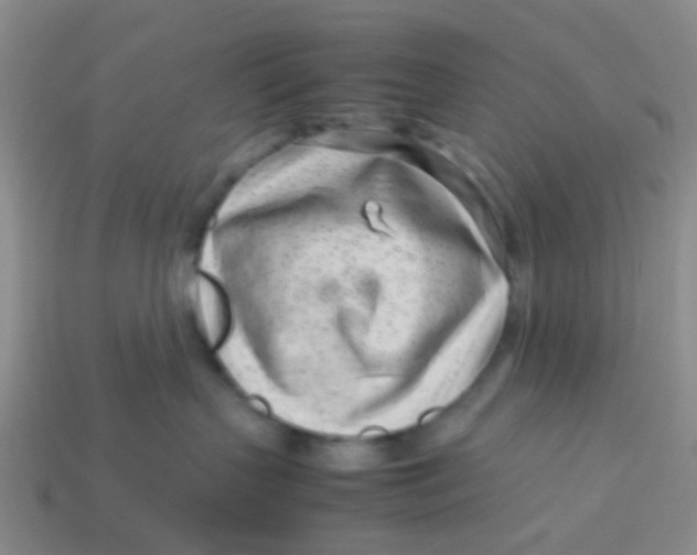 X0000113560383200910161501
