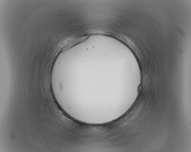 X0000113560385200910161501