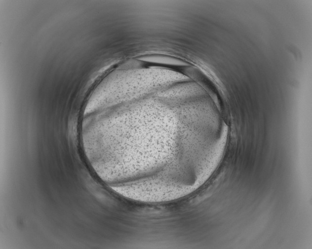 X0000113560386200910161501