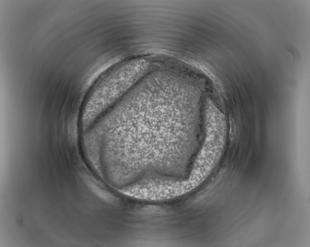 X0000113560390200910161501