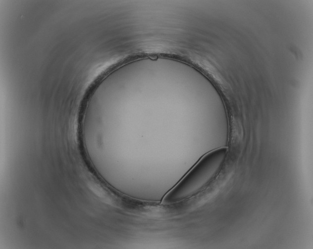 X0000113560391200910161501