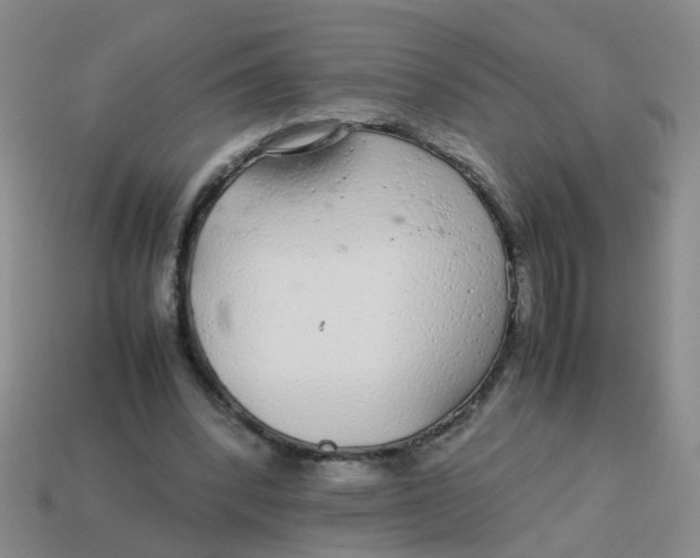 X0000113560392200910161501