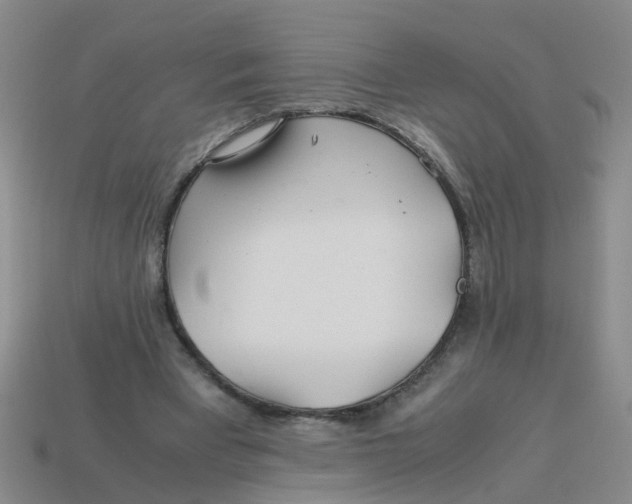 X0000113560393200910161501