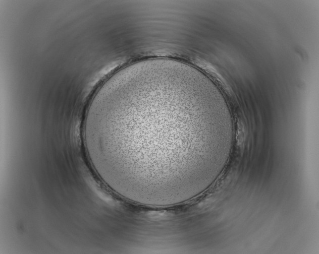 X0000113560394200910161501