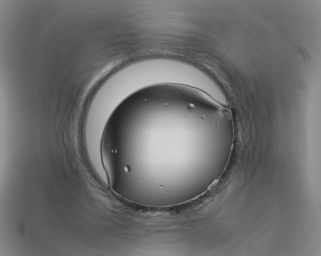 X0000113560395200910161501
