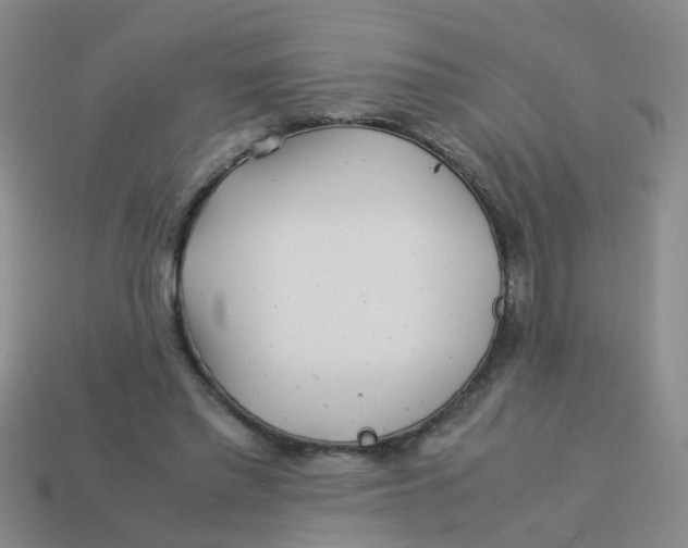 X0000113560397200910161501