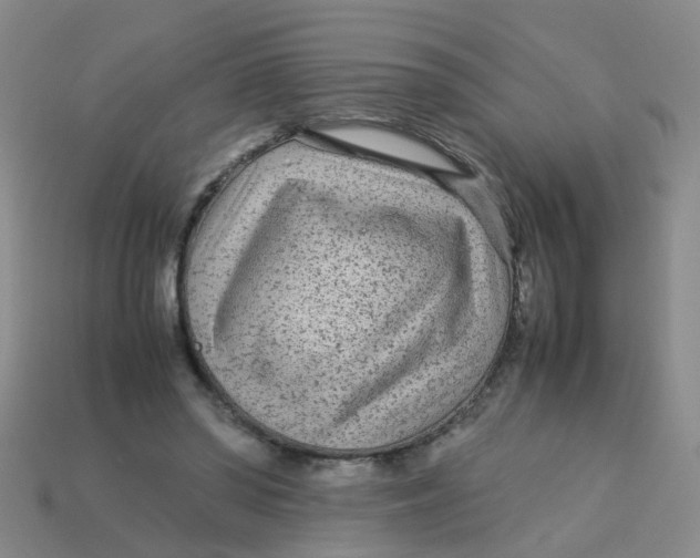 X0000113560398200910161501