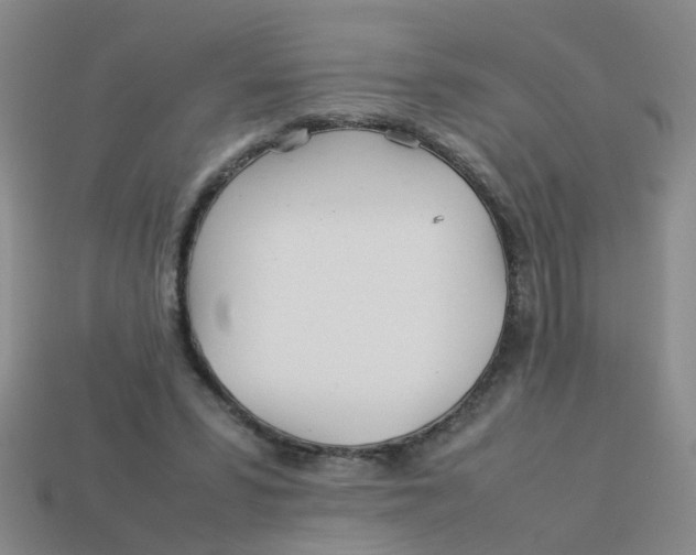 X0000113560399200910161501
