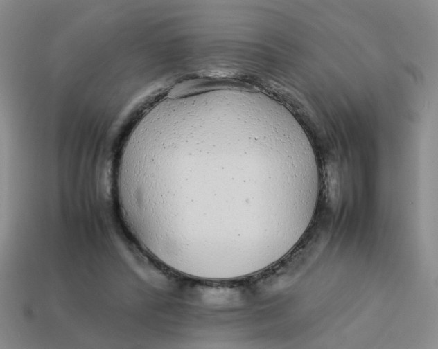 X0000113560400200910161501