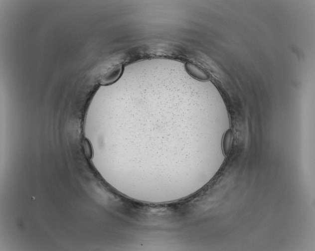 X0000113560401200910161501