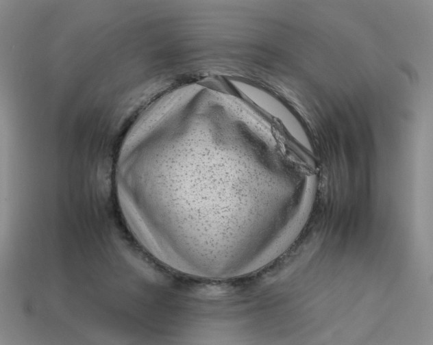 X0000113560402200910161501
